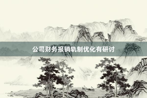 公司财务报销轨制优化有研讨
